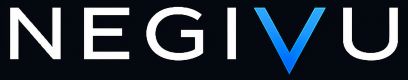 Negivu AI Executive Team